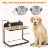 Dog Bowl Stand with 2 Stainless Steel Food Water Bowls