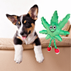 MJ the Weed Leaf 420 Dog Toy